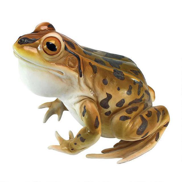 Lester the Leopard Frog statue