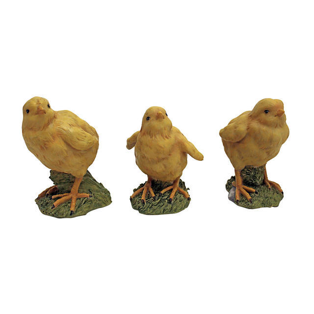 Three Hatching Chicks
