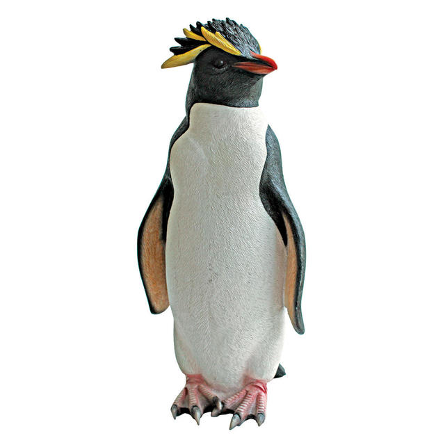 Rockhopper penguin