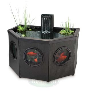 Affinity Pond System