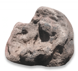 Pump Cover - Medium - Grey