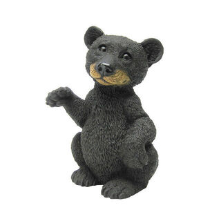 Little Bear Cub standing