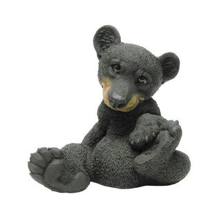 Little Bear Cub Paws up